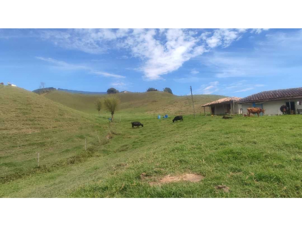 VENDO FINCA 64 MIL MTS EN EL CARMEN IDEAL PARCELACION — foto 6
