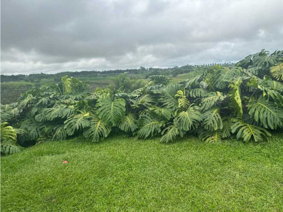 VENDO FINCA A 10 MINUTOS DE MORELIA Y 15 MINUTOS DE CONDINA — foto 3