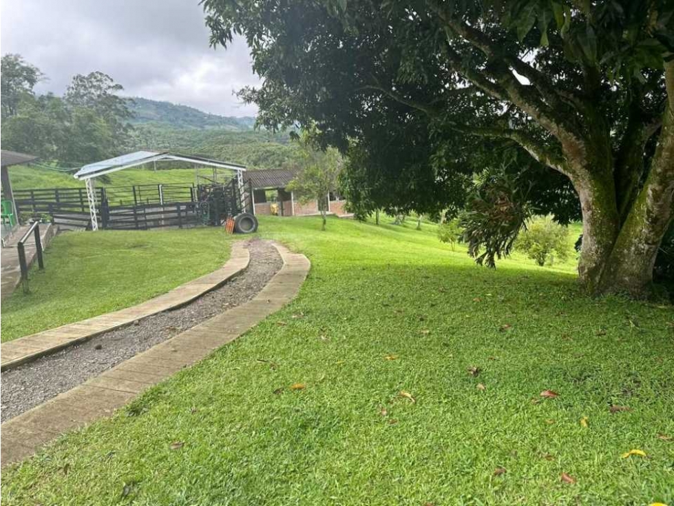 VENDO FINCA A 10 MINUTOS DE MORELIA Y 15 MINUTOS DE CONDINA — foto 4