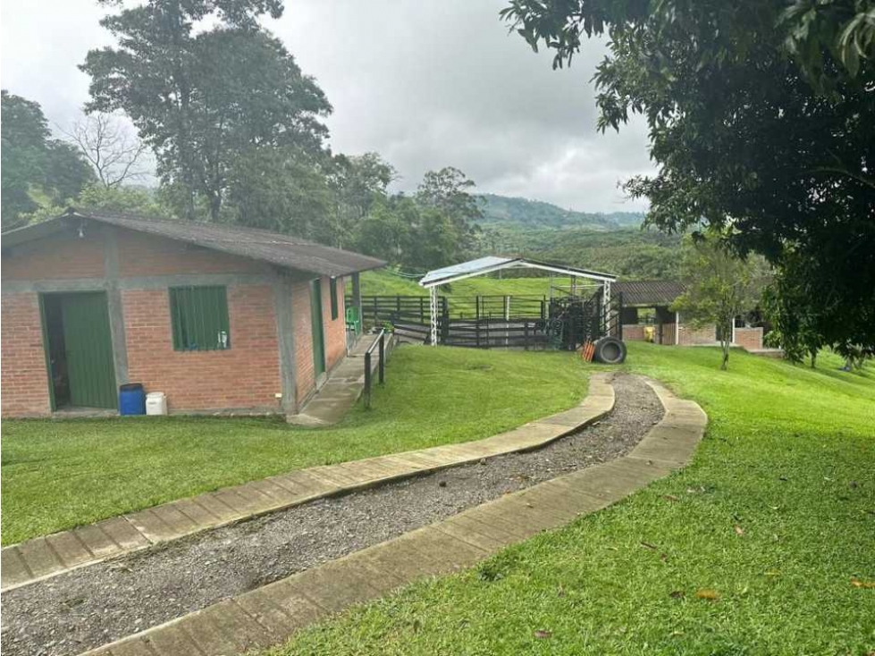 VENDO FINCA A 10 MINUTOS DE MORELIA Y 15 MINUTOS DE CONDINA — foto 5
