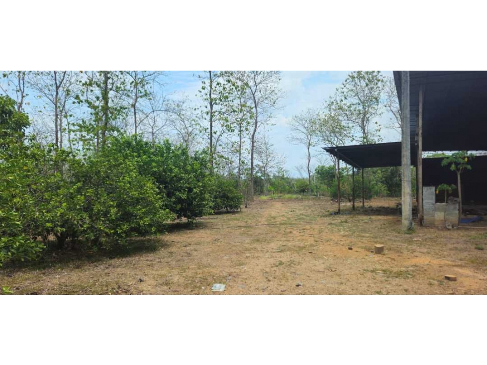 VENDO FINCA DE 35 HAS ORILLA DE CALLE EN CHIRIQUÍ — foto 2