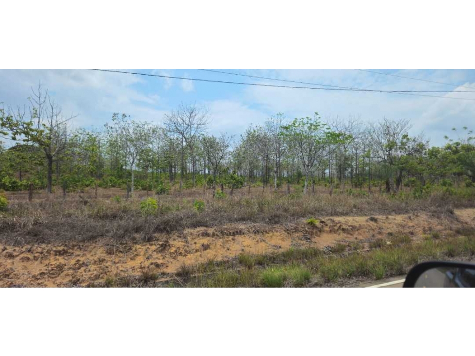 VENDO FINCA DE 35 HAS ORILLA DE CALLE EN CHIRIQUÍ — foto 3