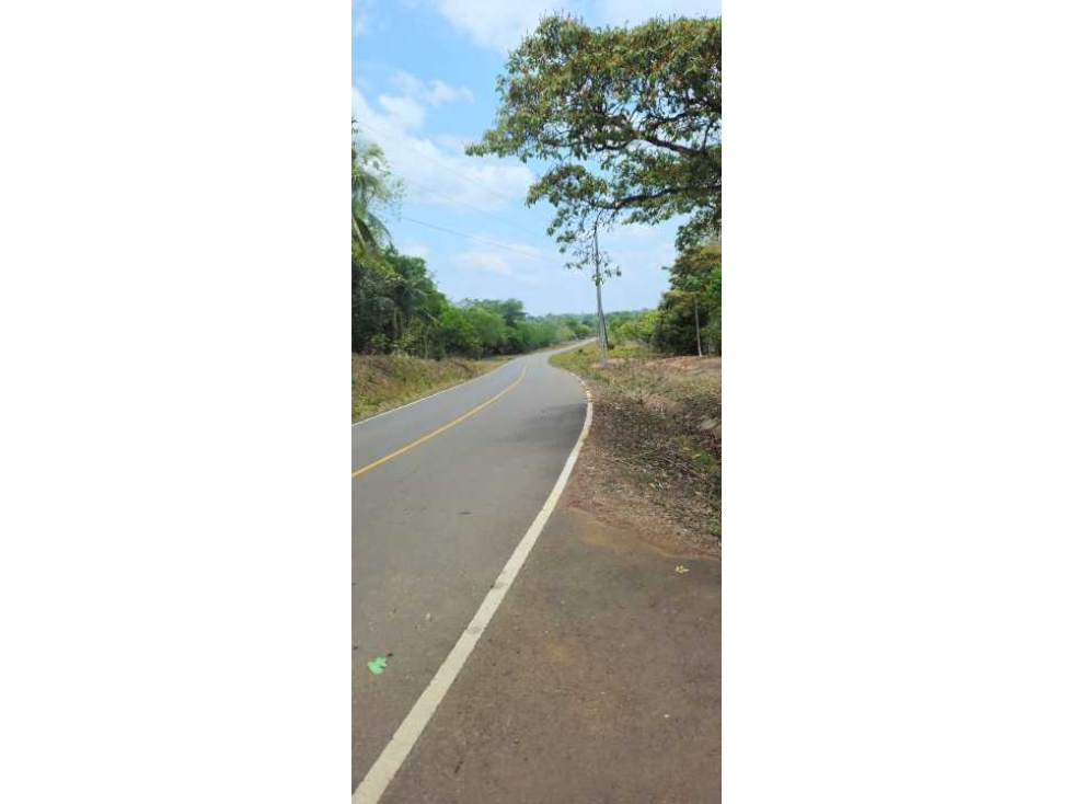 VENDO FINCA DE 35 HAS ORILLA DE CALLE EN CHIRIQUÍ — foto 6