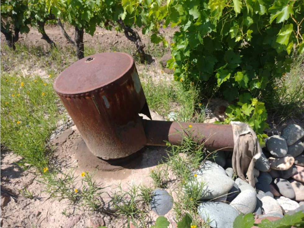 VENDO FINCA A TRANQUERA CERRADA SAN RAFAEL MENDOZA - 1