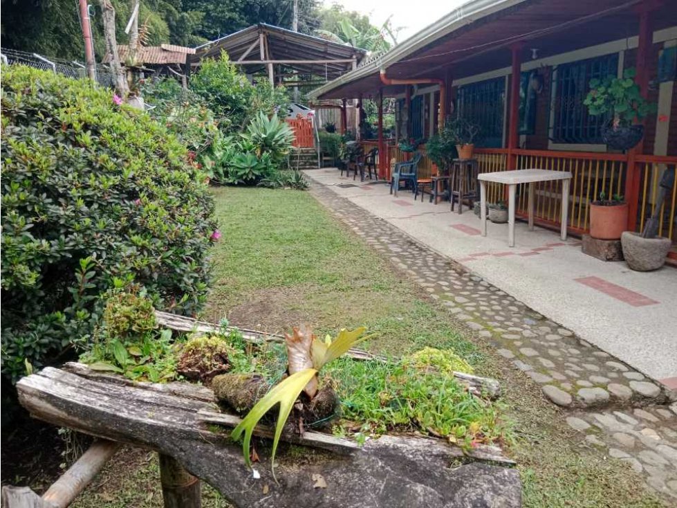 Vendo Finca sobre vía para turismo o producción Salento Quindio — foto 5