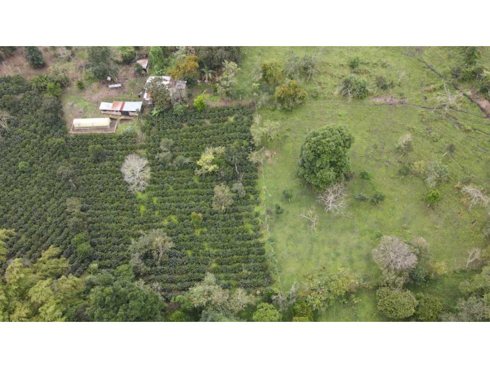 Vendo Finca sobre vía para turismo o producción Salento Quindio