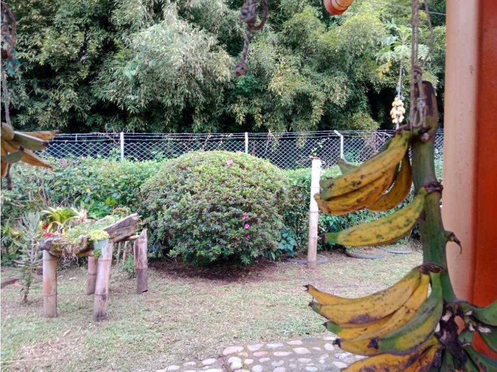 Vendo Finca sobre vía para turismo o producción Salento Quindio — foto 6
