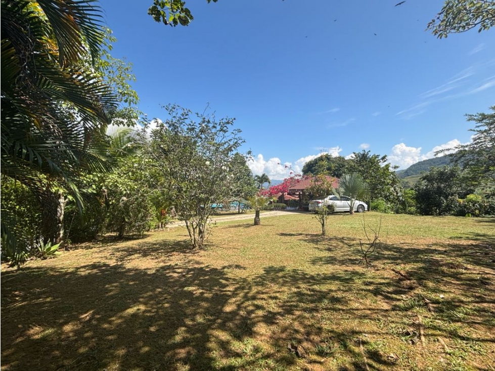 VENDO FINCA CAMPESTRE EN YOLOMBO SECTOR EL CHOCHO - 5
