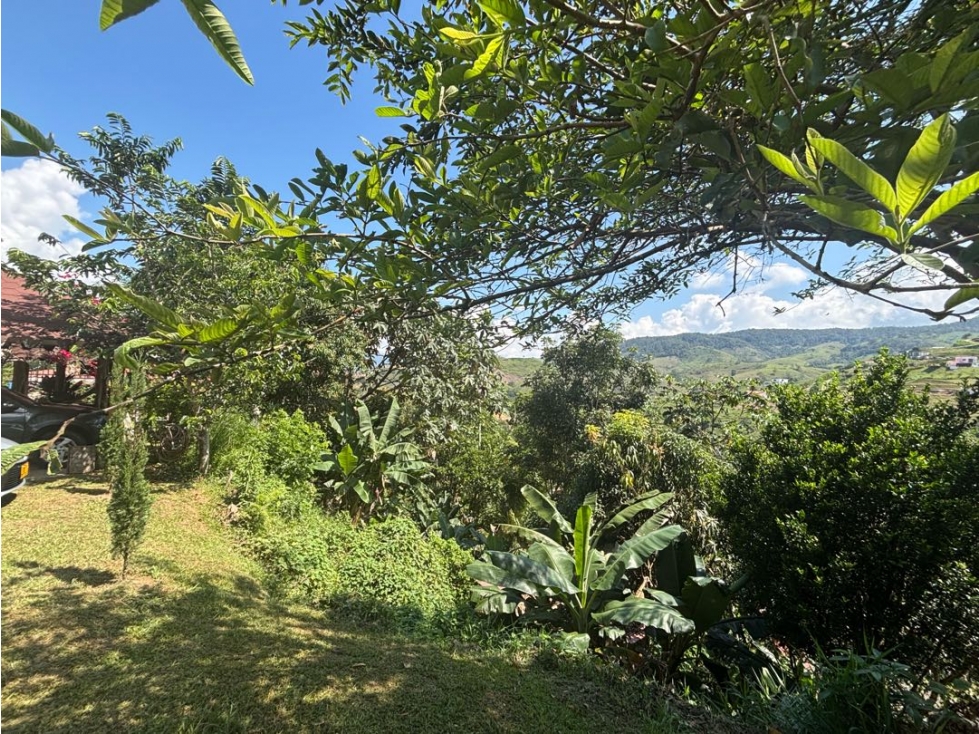 VENDO FINCA CAMPESTRE EN YOLOMBO SECTOR EL CHOCHO - 6