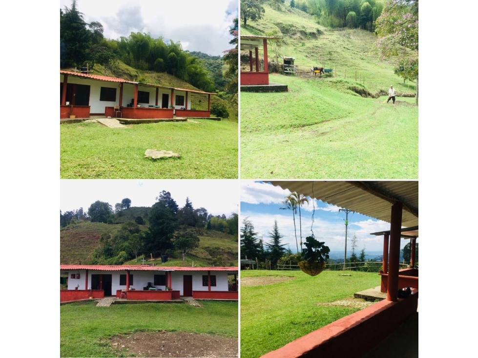 VENDO FINCA PRODUCTIVA DE 13 HECTAREAS CERCA ARMENIA - QUINDIO - 1