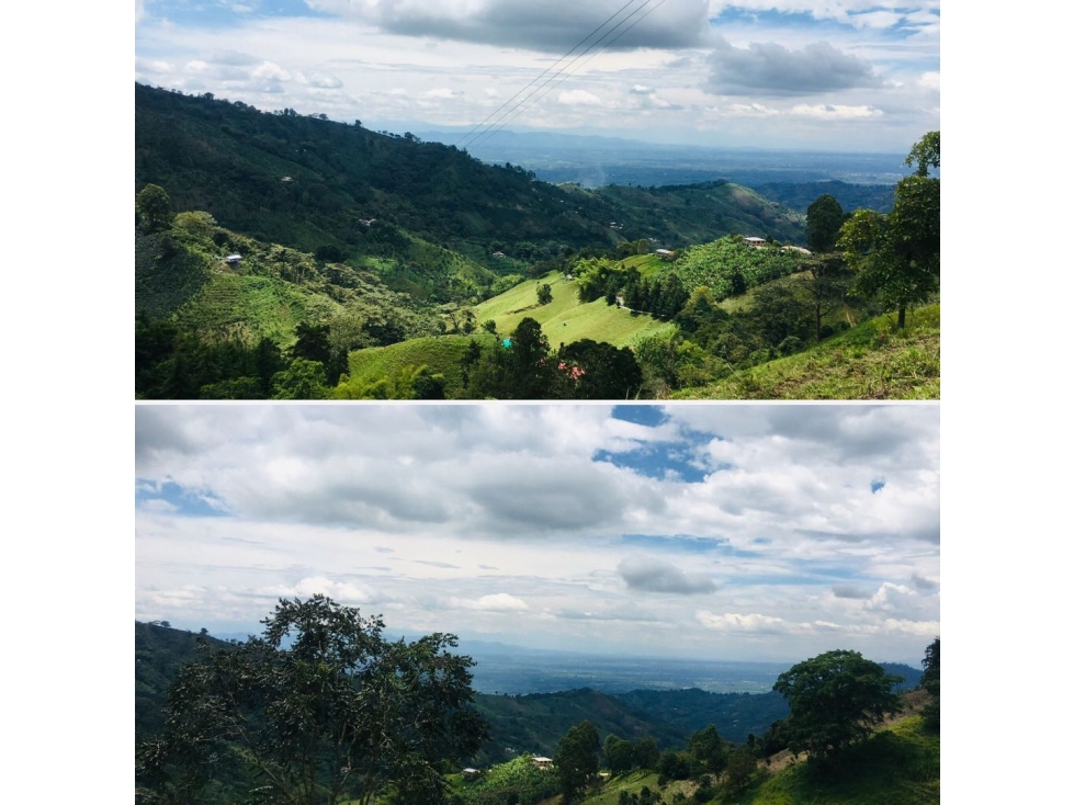 VENDO FINCA PRODUCTIVA DE 13 HECTAREAS CERCA ARMENIA - QUINDIO - 2