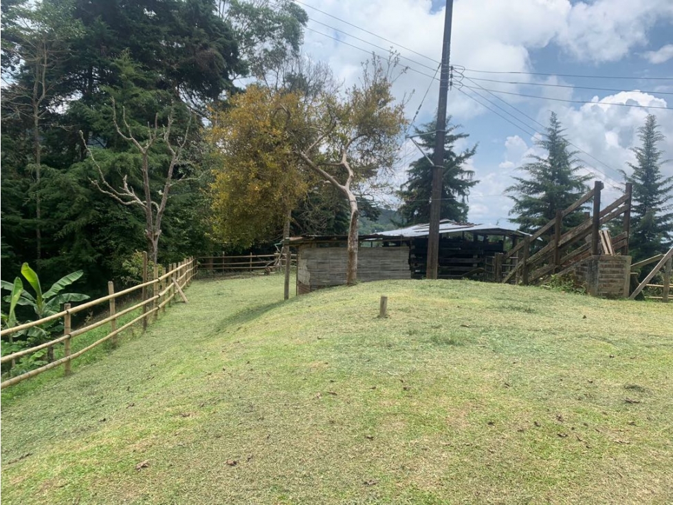 VENDO FINCA PRODUCTIVA DE 13 HECTAREAS CERCA ARMENIA - QUINDIO - 6