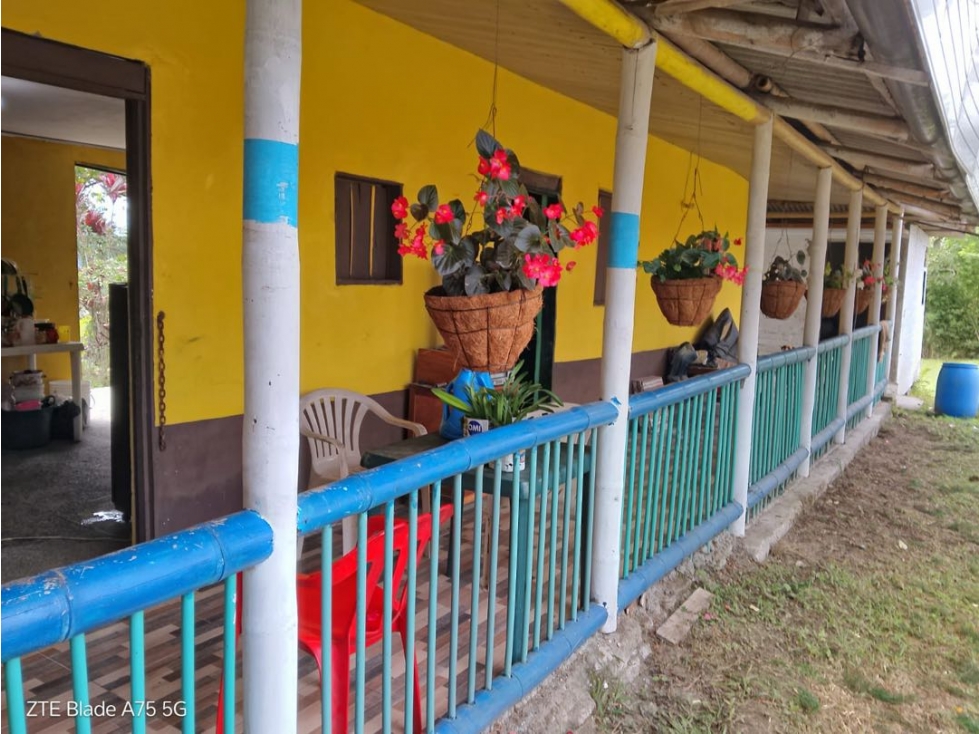 Vendo finca en Circasia Quindio vereda la cristalina — foto 3