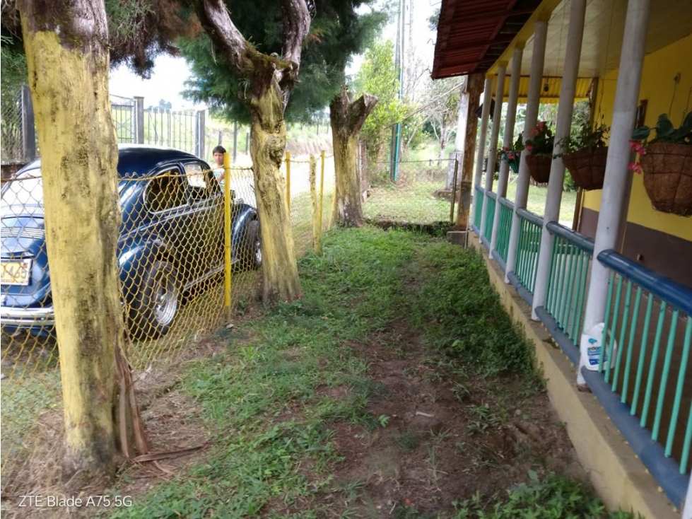 Vendo finca en Circasia Quindio vereda la cristalina — foto 4