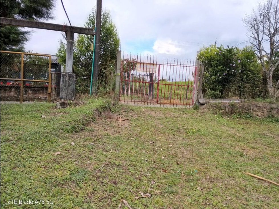 Vendo finca en Circasia Quindio vereda la cristalina — foto 5