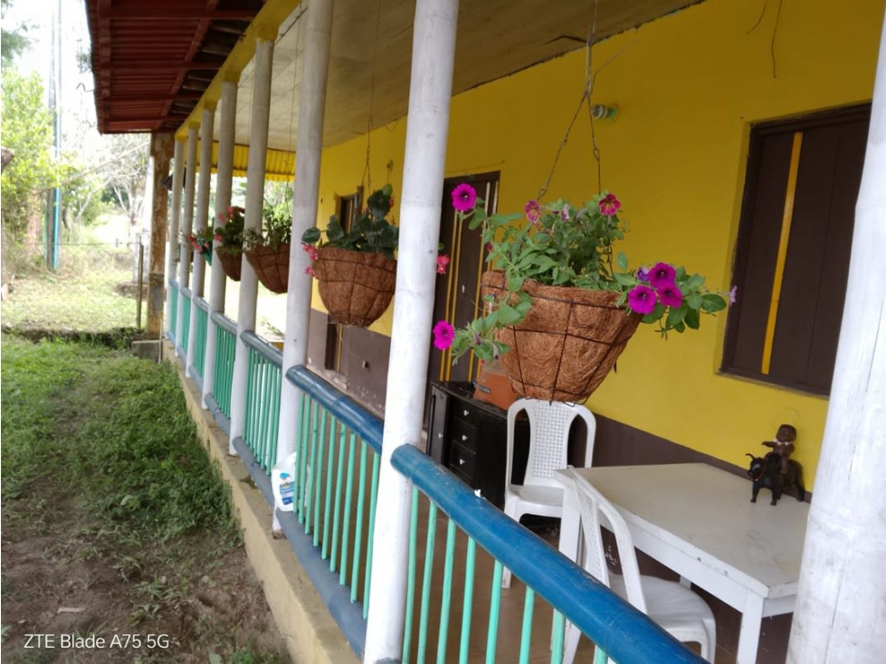 Vendo finca en Circasia Quindio vereda la cristalina — foto 6