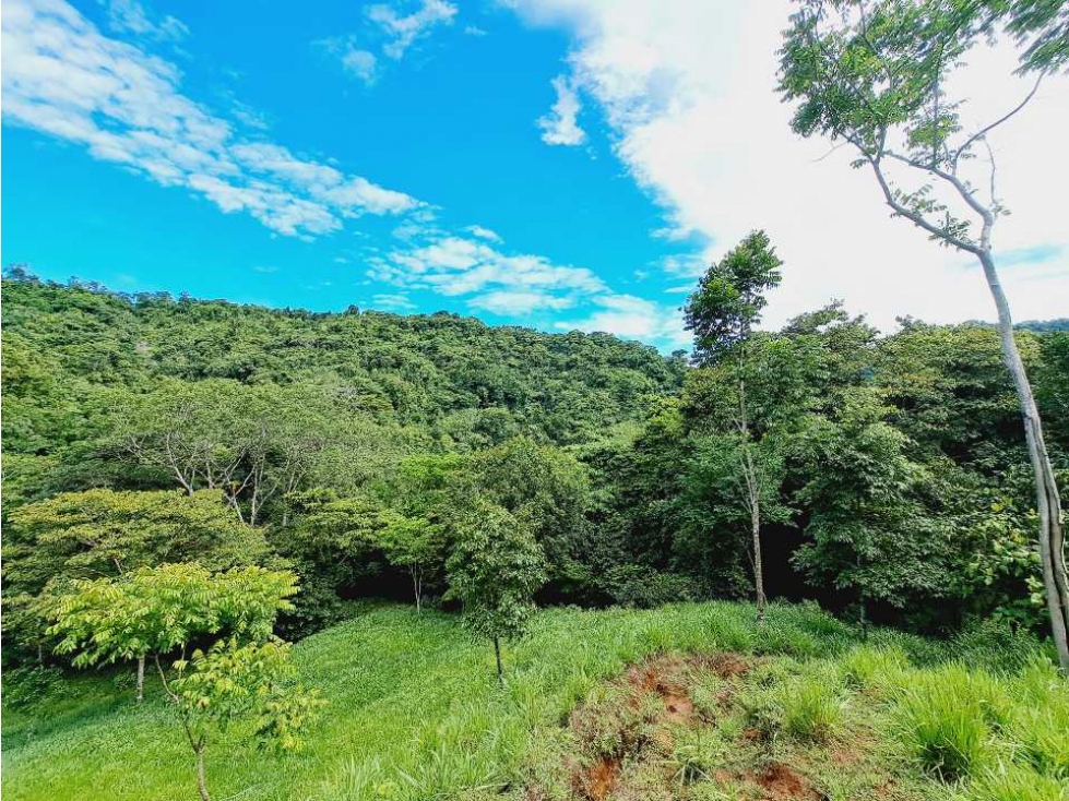 VENDO FINCA 125 HA-CON BOSQUE Y RIO DE AGUA VIVA - 4