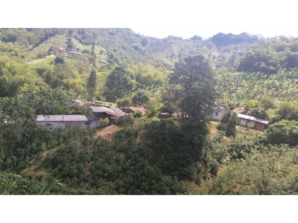 VENDO FINCA CON EXCELENTE TERRENO PARA SIEMBRA