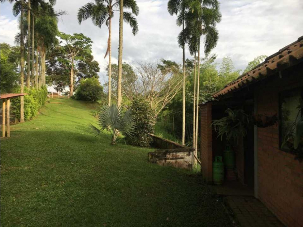 VENDO FINCA CON MAS DE UNA CUADRA DE TERRENO HERMOSA VISTA — foto 3