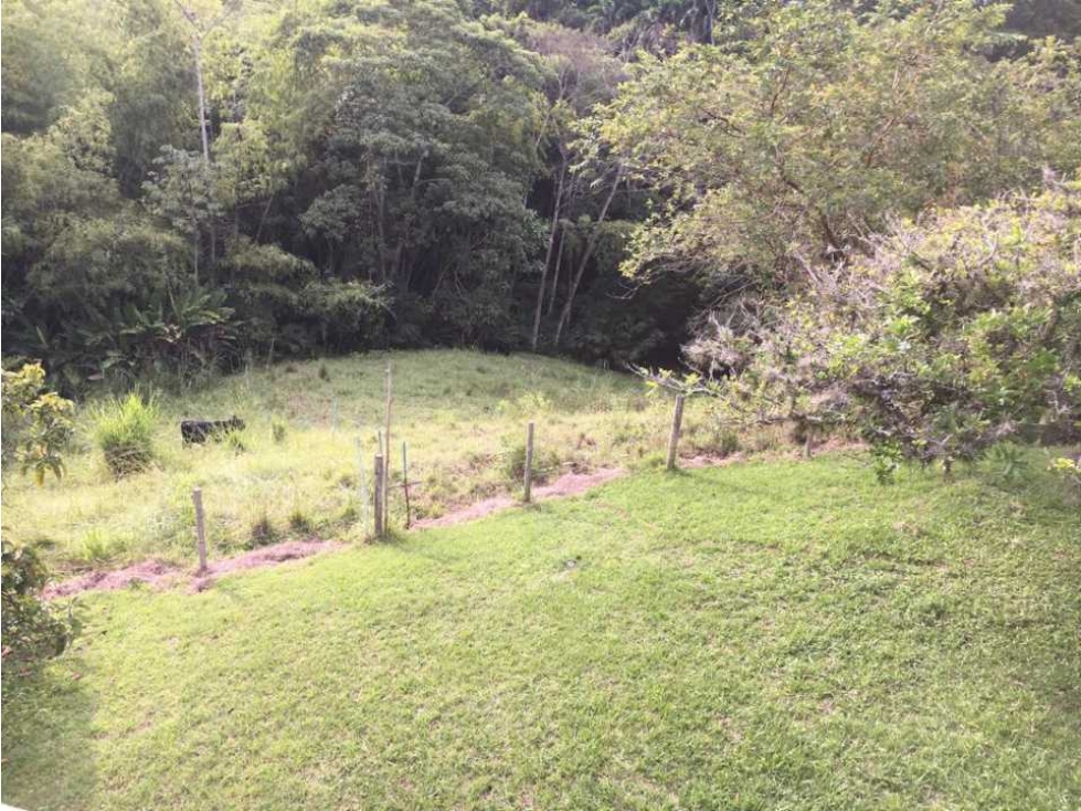 VENDO FINCA CON MAS DE UNA CUADRA DE TERRENO HERMOSA VISTA — foto 5