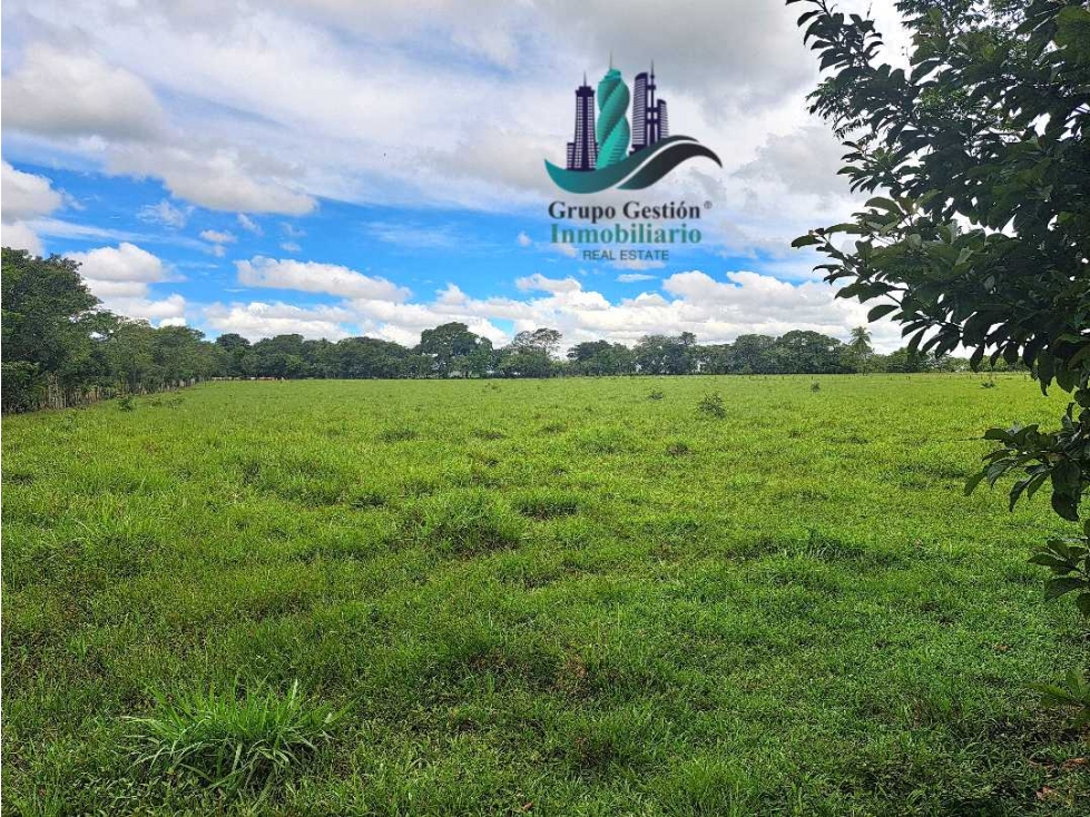 VENDO FINCA DD 5HECTAREAS PLANAS - 2