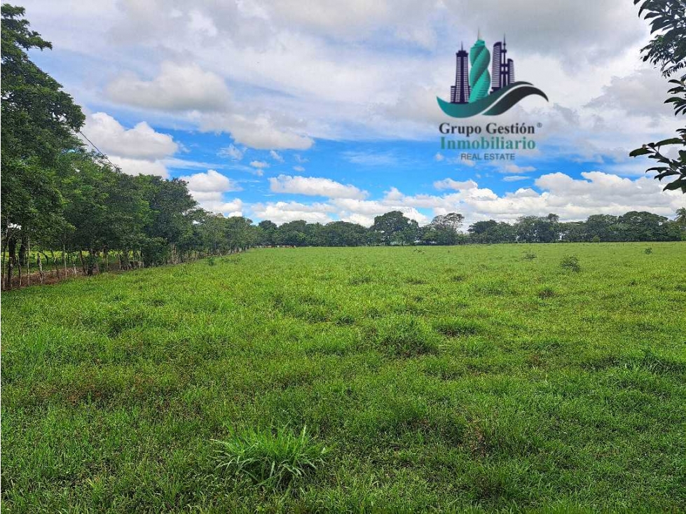 VENDO FINCA DD 5HECTAREAS PLANAS - 3