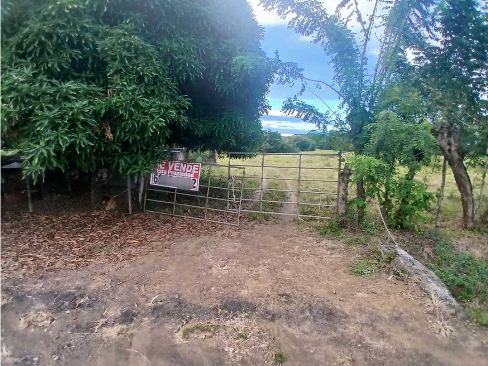 VENDO FINCA DE 10 HECTAREAS EN LOS HATILLOS DE LAS TABLAS - 2