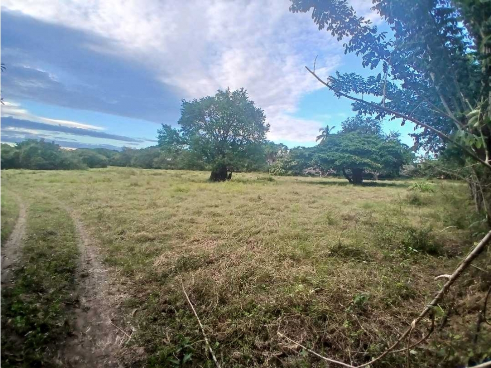 VENDO FINCA DE 10 HECTAREAS EN LOS HATILLOS DE LAS TABLAS - 3