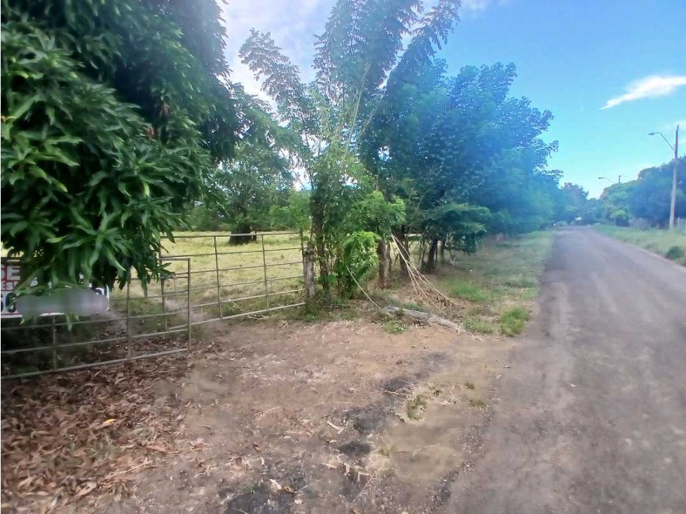 VENDO FINCA DE 10 HECTAREAS EN LOS HATILLOS DE LAS TABLAS - 4