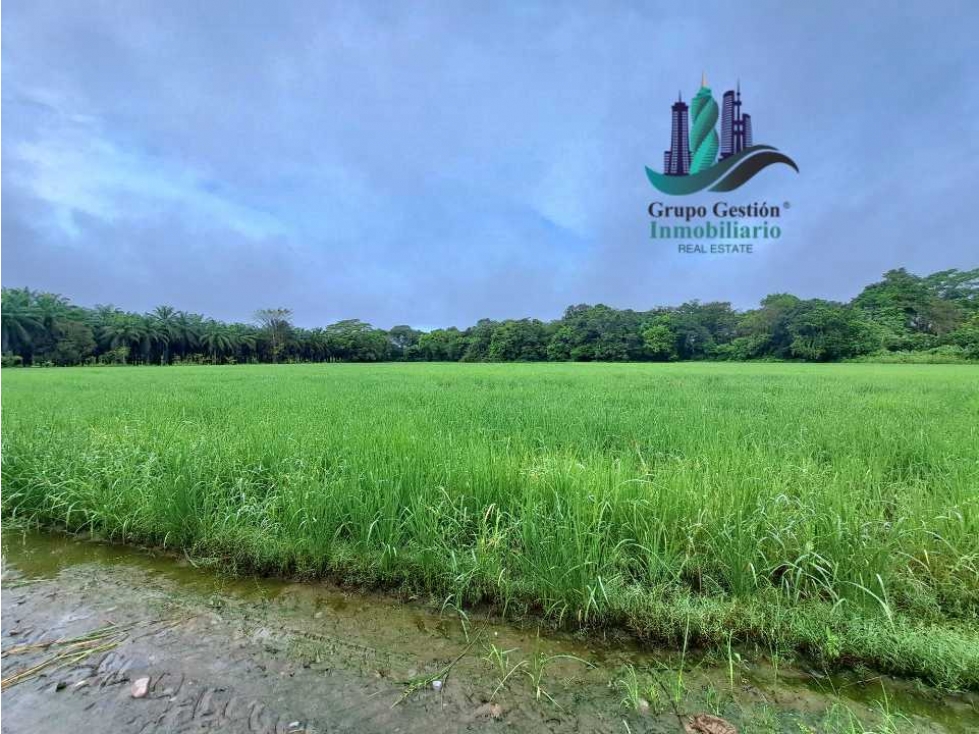 VENDO FINCA DE 10HECTAREAS + PROGRESO - 2