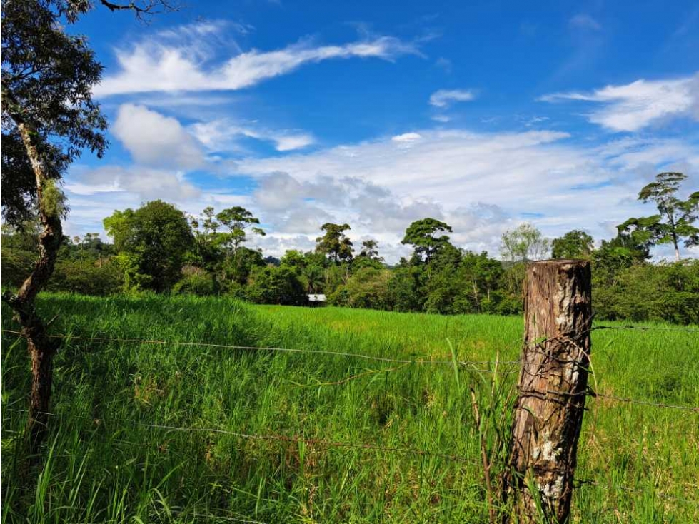 VENDO FINCA DE 116HECTAREAS MECANIZABLES - 2