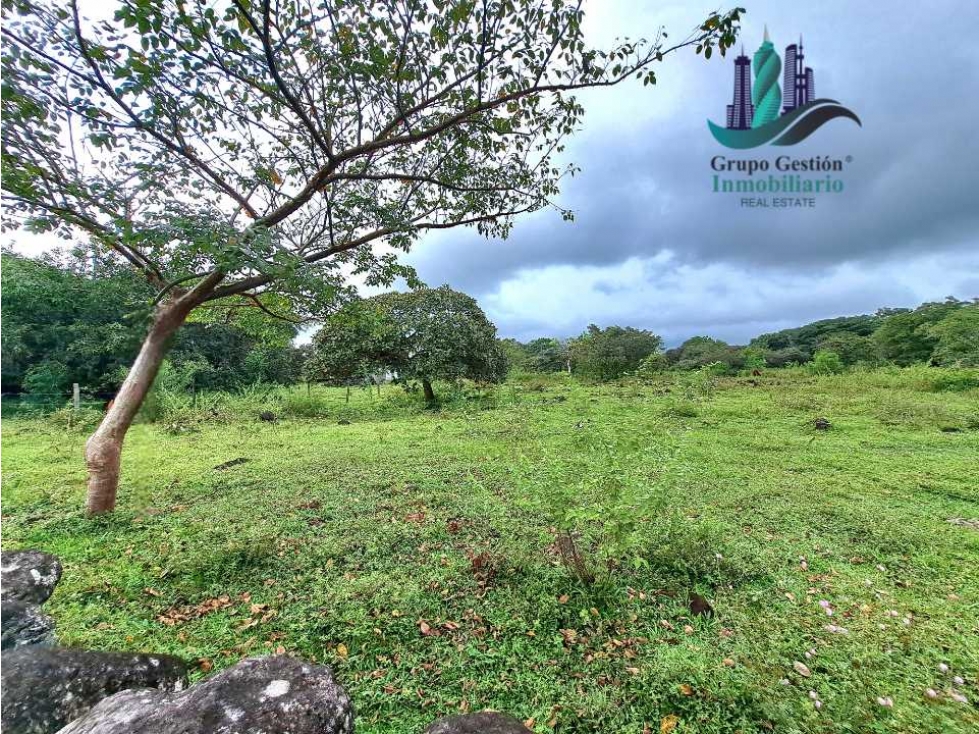 VENDO FINCA DE 12810MTS TOPOGRAFIA PLANA - 1