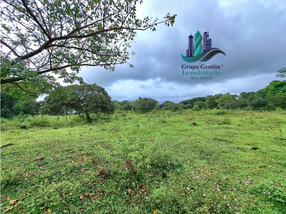 VENDO FINCA DE 12810MTS TOPOGRAFIA PLANA - 2