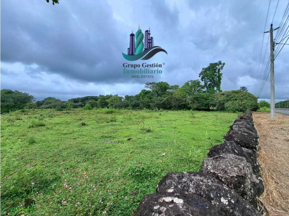 VENDO FINCA DE 12810MTS TOPOGRAFIA PLANA - 3