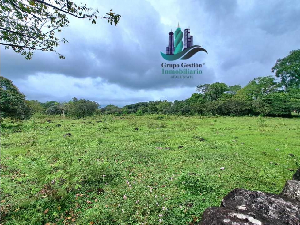VENDO FINCA DE 12810MTS TOPOGRAFIA PLANA - 4
