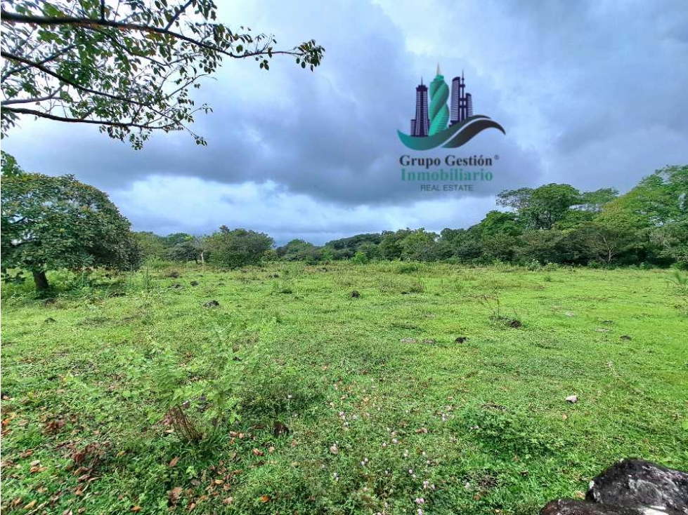 VENDO FINCA DE 12810MTS TOPOGRAFIA PLANA - 5