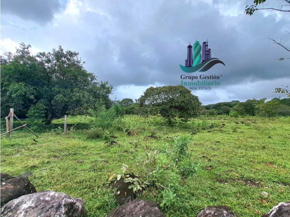 VENDO FINCA DE 12810MTS TOPOGRAFIA PLANA - 6