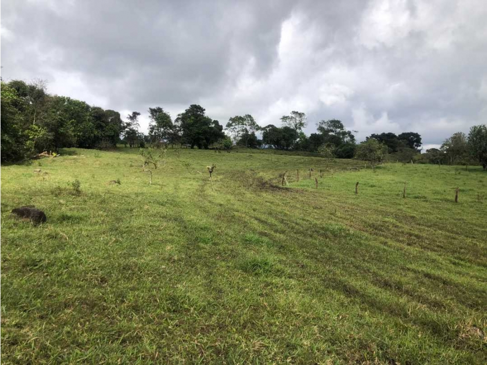 VENDO FINCA DE 12 HECTAREAS Cuesta de PIEDRA - 2