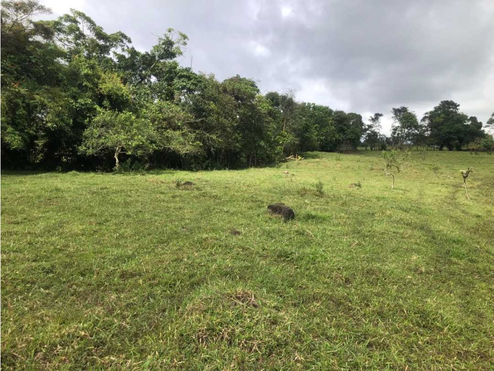 VENDO FINCA DE 12 HECTAREAS Cuesta de PIEDRA - 3