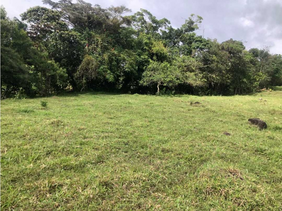 VENDO FINCA DE 12 HECTAREAS Cuesta de PIEDRA - 4