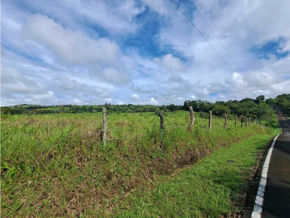 VENDO FINCA DE 135 HECTAREAS 900M.S.N.M. - 1