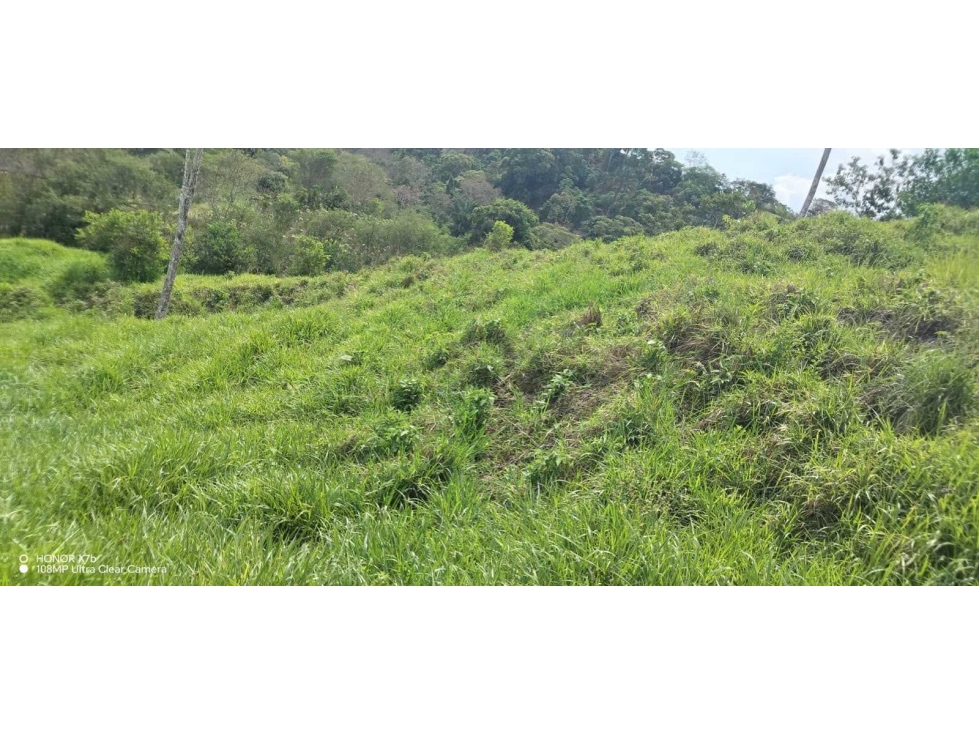 VENDO FINCA DE 13 HA san andres - 1