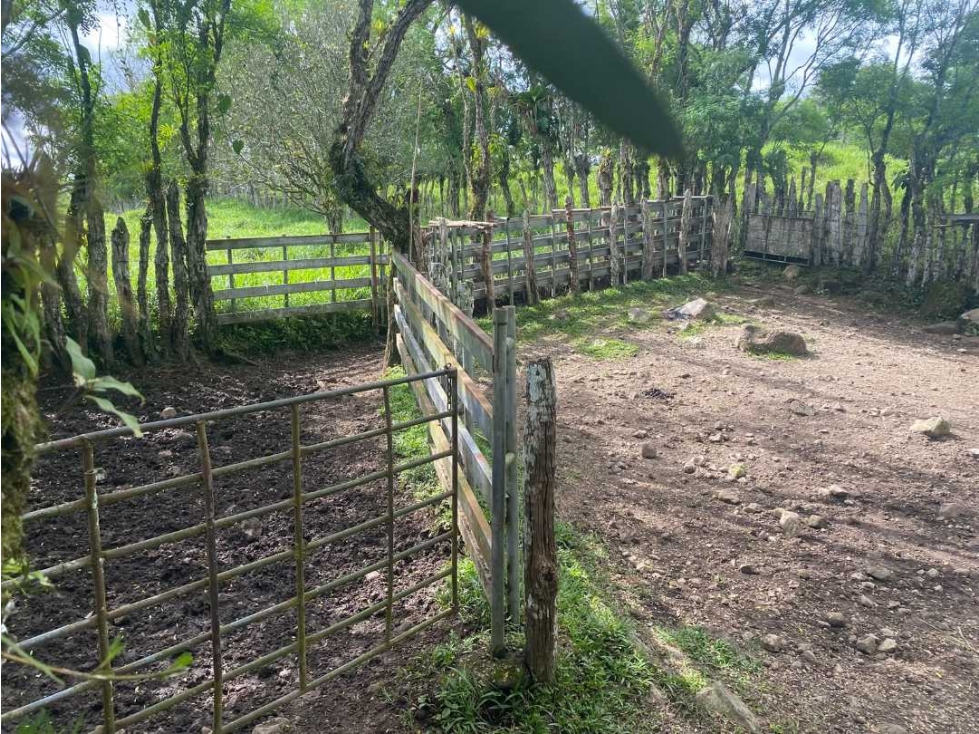 VENDO FINCA DE 13 HA san andres - 3