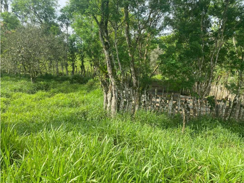 VENDO FINCA DE 13 HA san andres - 4