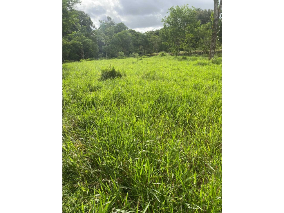 VENDO FINCA DE 13 HA san andres - 6