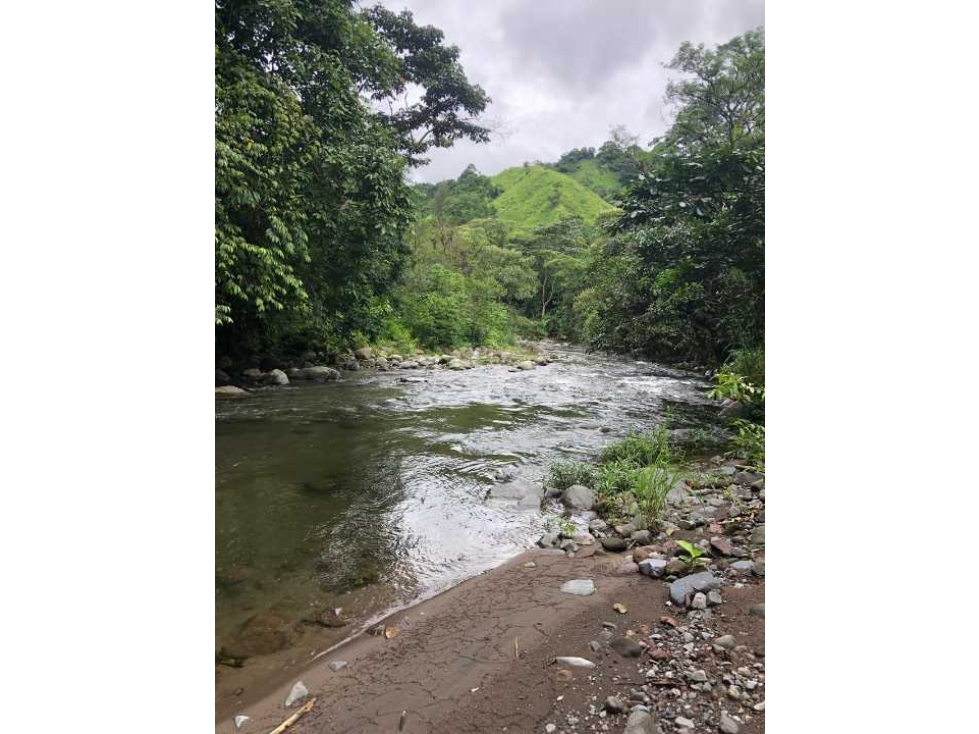 VENDO FINCA DE 145HECTAREAS RENACIMIENTO - 1