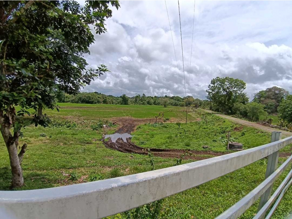 VENDO FINCA DE 165HA plana Siembros Bugaba - 1