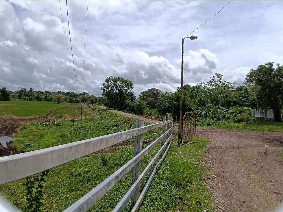 VENDO FINCA DE 165HA plana Siembros Bugaba - 2