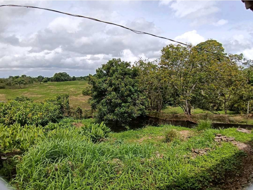 VENDO FINCA DE 165HA plana Siembros Bugaba - 4
