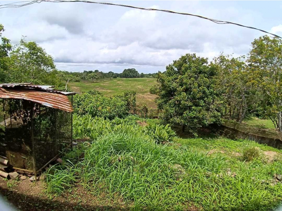 VENDO FINCA DE 165HA plana Siembros Bugaba - 5